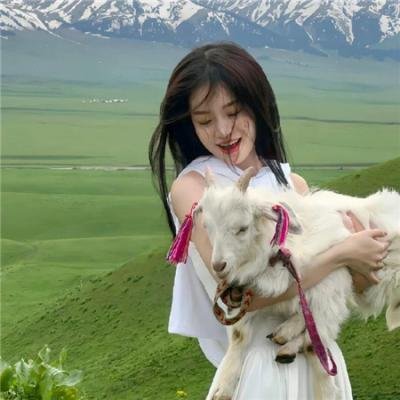 我的明星村长